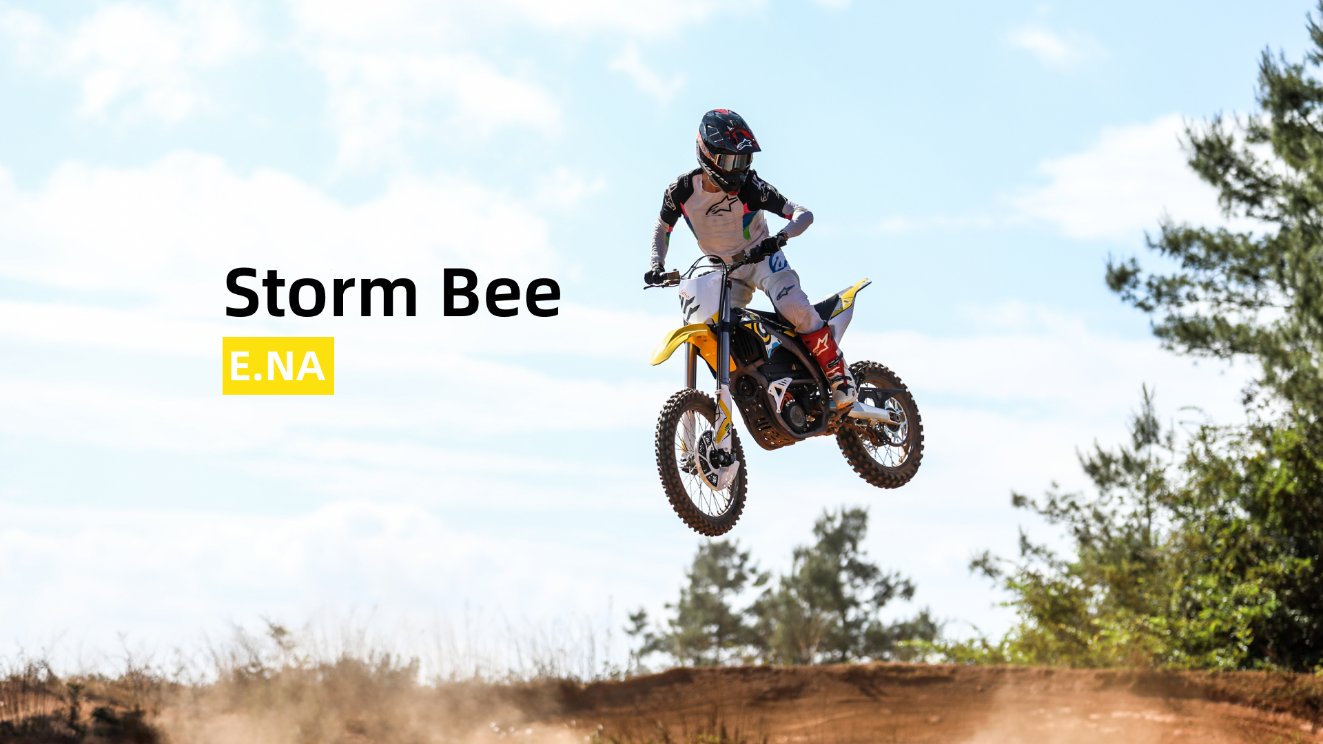 surron storm bee