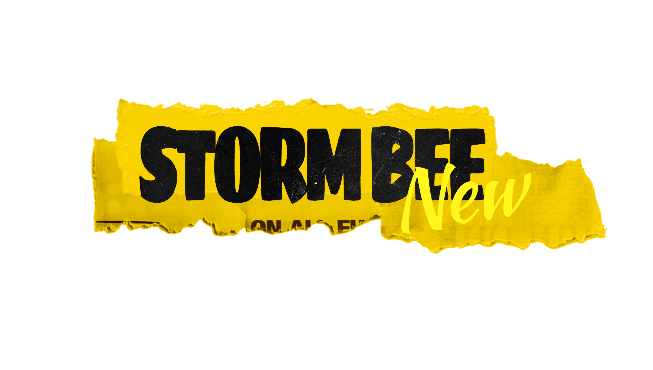 surron storm bee